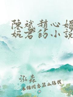 陈斌赵心媚和高婉君的小说
