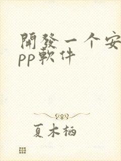 开发一个安卓app软件