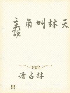 主角叫林天的小说