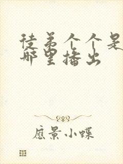 徒弟个个是大佬哪里播出