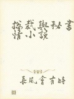总裁与秘书的言情小说