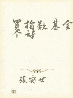 买指数基金选哪个好
