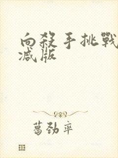 向杀手挑战未删减版