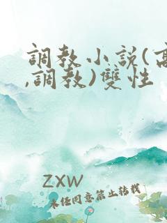 调教小说(高h,调教)双性
