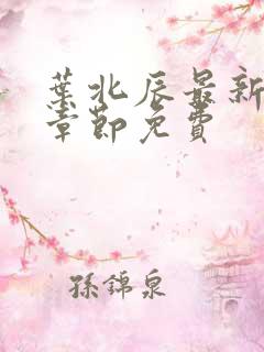 叶北辰最新更新章节免费