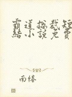 霸道总裁短篇完结小说免费的