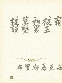 校草和校霸的小说双男主