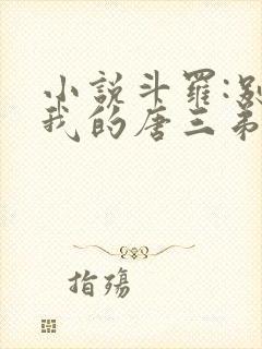 小说斗罗:别动我的唐三弟弟下载
