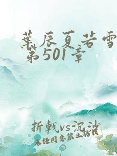 叶辰夏若雪孙怡 第501章