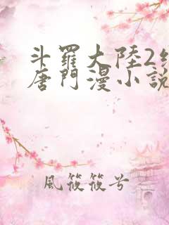 斗罗大陆2绝世唐门漫小说