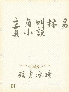 主角叫林易的修真小说