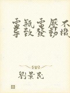 电瓶电压不足会导致发动机故障灯亮吗