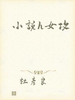 小说h女攻