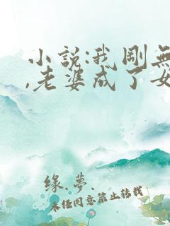 小说:我刚无敌,老婆成了女帝