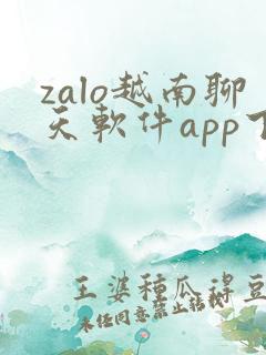 zalo越南聊天软件app下载