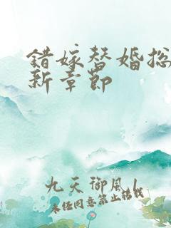 错嫁替婚总裁最新章节