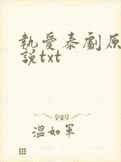 执爱泰剧原著小说txt