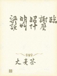 梁明昭谢临风小说叫什么