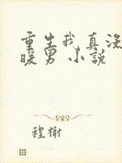 重生我真没想当暖男 小说