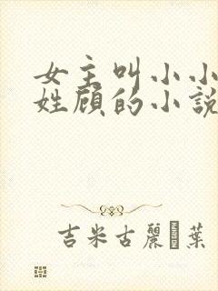 女主叫小小男主姓顾的小说
