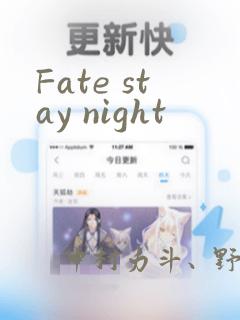 Fate stay night