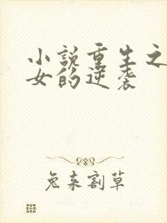 小说重生之炮灰女的逆袭