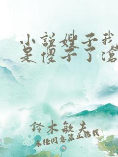 小说嫂子我真不是傻子了沧海残阳.作者