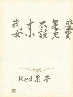 我才不是魔法少女小说免费阅读笔趣阁