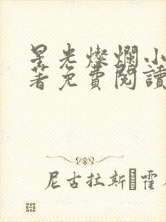 星光灿烂小说原著免费阅读全文