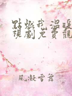点燃我温暖你电视剧免费观看网站