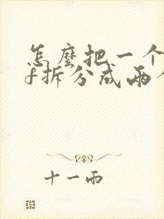 怎么把一个pdf拆分成两个