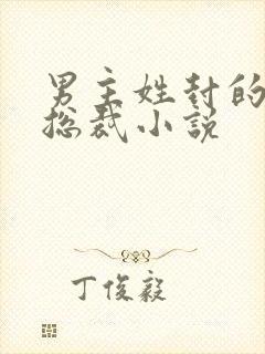 男主姓封的霸道总裁小说