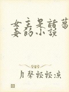 女主是诸葛亮小妾的小说