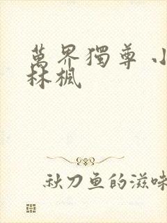 万界独尊 小说林枫