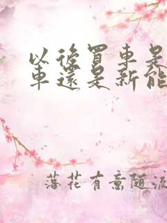 以后买车是燃油车还是新能源车