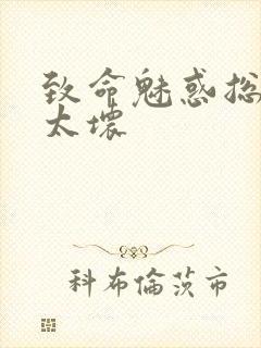 致命魅惑总裁别太坏