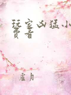 玩家凶猛小说免费看