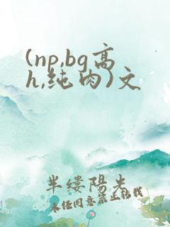 (np,bg高h,纯肉)文