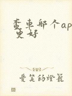 查车哪个app 更好