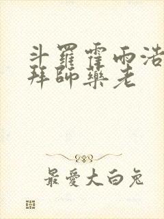 斗罗霍雨浩开局拜师药老