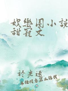 娱乐圈小说推荐甜宠文