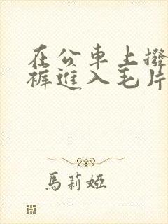 在公车上拨开内裤进入毛片在线看