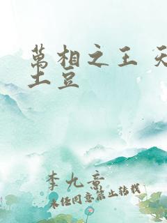 万相之王 天蚕土豆