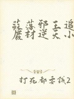 苏落邪王追妻:废材逆天小姐