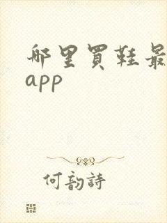 哪里买鞋最靠谱app