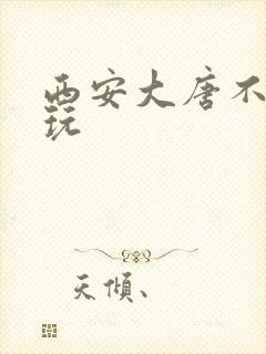 西安大唐不夜城玩