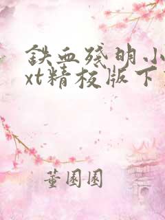 铁血残明小说txt精校版下载