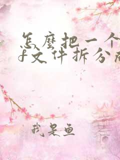 怎么把一个pdf文件拆分成两个pdf