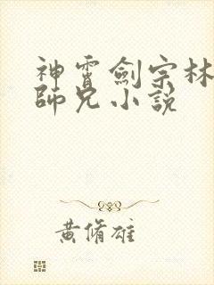 神霄剑宗林枫大师兄小说