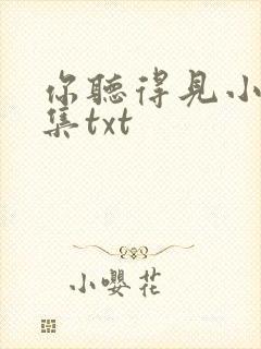 你听得见小说全集txt